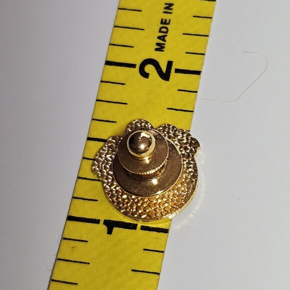 National Rural Electric Cooperative Association NRECA 10 Year Service Award Pin - Picture 4 of 9